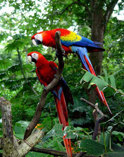 Costa Rica    